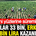 Kadınlar ayda 33 bin, erkekler 60 bin lira kazanıyor: Ellerini yüzlerine süremiyorlar
