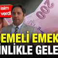 SGK uzmanı İsa Karakaş tarih verdi: Kademeli emeklilik kesinlikle gelecek