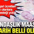 Vatandaşlık maaşında tarih belli oldu: Geliri asgari ücretten düşük olanlara devlet desteği yolda