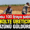 Rekolte üreticiyi memnun etti: Kilosu 100 liradan satılıyor
