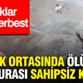Sokak ortasında ölümün faturası sahipsiz kaldı: Sanıklar artık serbest