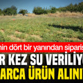 Bir kez su veriliyor, aylarca ürün alınıyor: Türkiye’nin dört bir yanından sipariş yağıyor