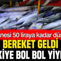 Bereket geldi, Türkiye bol bol yiyecek: Tanesi 50 liraya kadar düştü