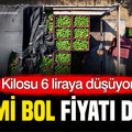 Verim bol, fiyat düşük: Kilosu 6 liraya düşüyor