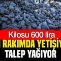 Bin rakımda yetişiyor, talep yağıyor: Kilosu 600 lira