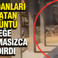Vicdanları sızlatan görüntü köpeğe acımasızca saldırdı