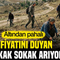 Altından pahalı: Fiyatını duyan sokak sokak arıyor