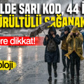 Meteoroloji uyardı: 19 ilde sarı kod, 44 ilde gök gürültülü sağanak yağış