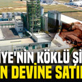 Türkiye'nin köklü şirketi Japonlara satılıyor