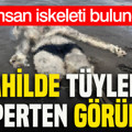 Sahilde tüyleri ürperten görüntü: İnsan iskeleti bulundu