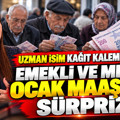 SGK uzmanı Melis Elmen kağıt kalemi çıkardı: Emekli ve memur ocak maaşını hesapladı
