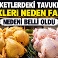 Marketlerdeki tavukların renkleri neden farklı? Nedeni belli oldu