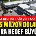 Deniz ürünlerinde yeni dönem: 516,5 milyon dolardan sonra hedef büyüdü