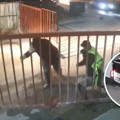 Bakırköy’deki Olimpik Havuz inşaatından kablo çalan 13 kişi yakalandı