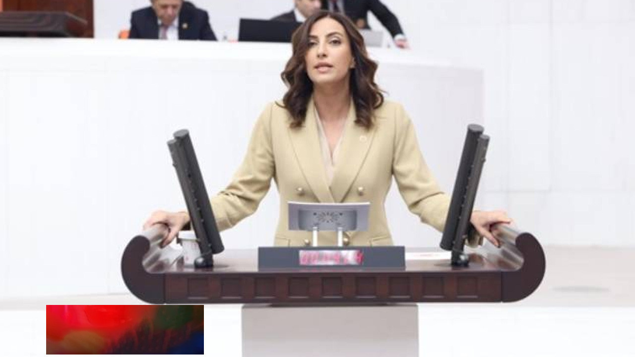 Evrim Rızvanoğlu'ndan bütçe tepkisi