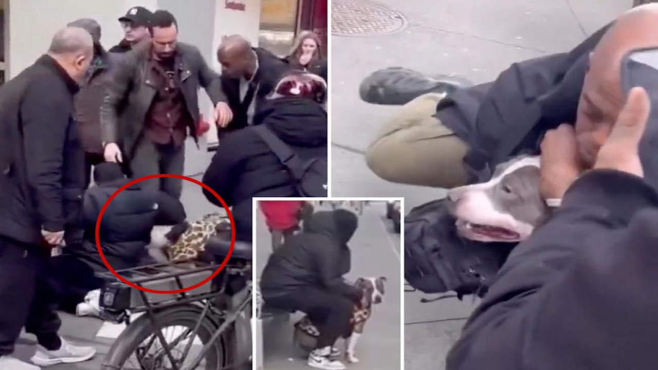 Çığlıklar sokakta yankılandı! Pitbull bebeğin bacağını kaptı çenesini kilitledi: ABD’de şok