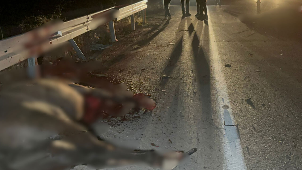 Milyonluk yarış tayları firar etti: 6'sı öldü 2'si yaralandı