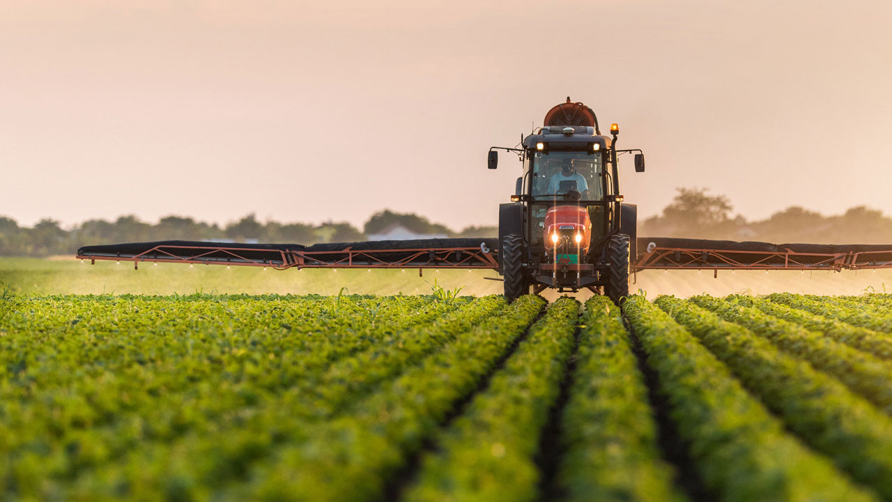 Tarımdaki acı tablo ortaya çıktı: Sebze ve tahılda durum çok kötü