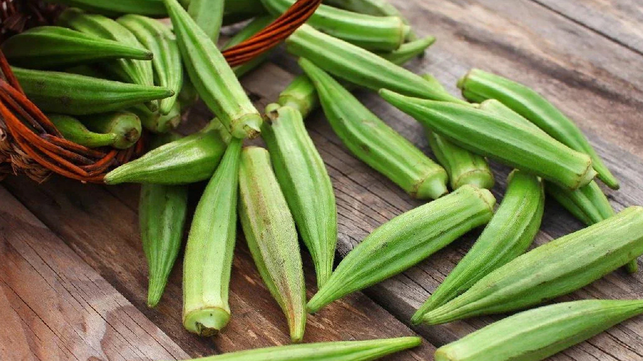 Türk mutfağının yıldızı bamya