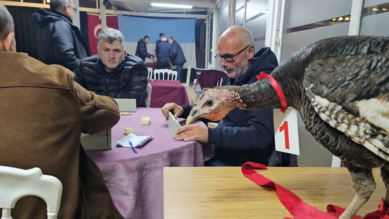 Kıran kırana mücadele! 196 kişi yarıştı: Hindi onun oldu