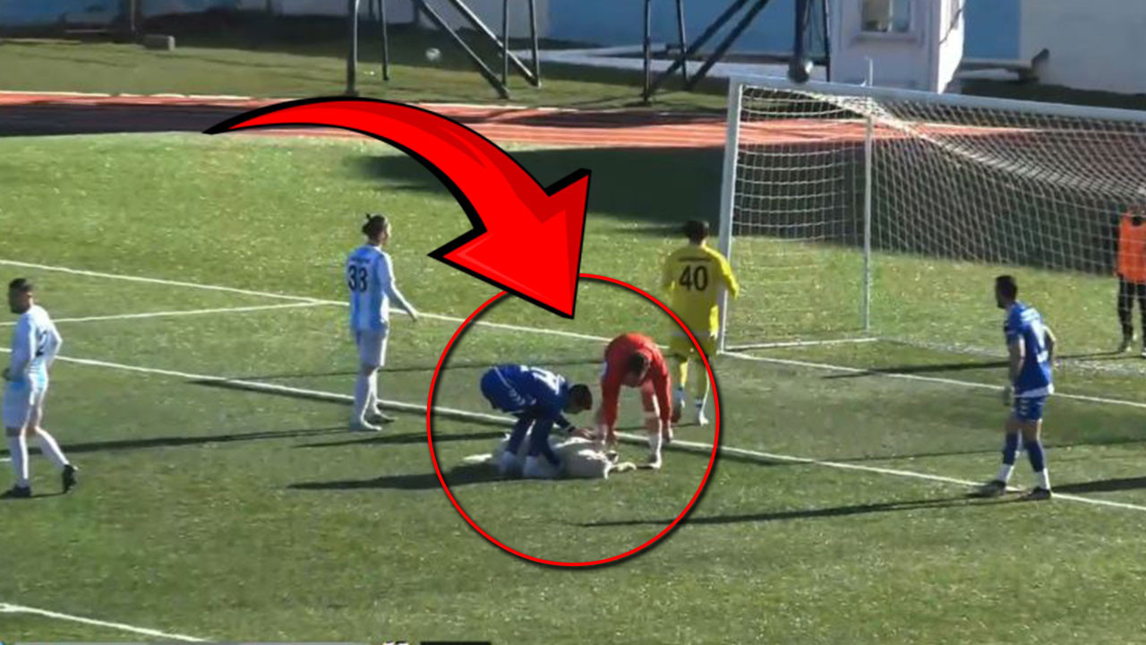 Sadece Türkiye'de olur.... Maça uyuyan köpek arası