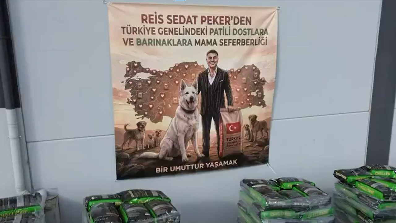Sedat Peker 4 yıllık suskunluğunu bozdu! 100 ton mama bağışı yapıp seferberlik başlattı