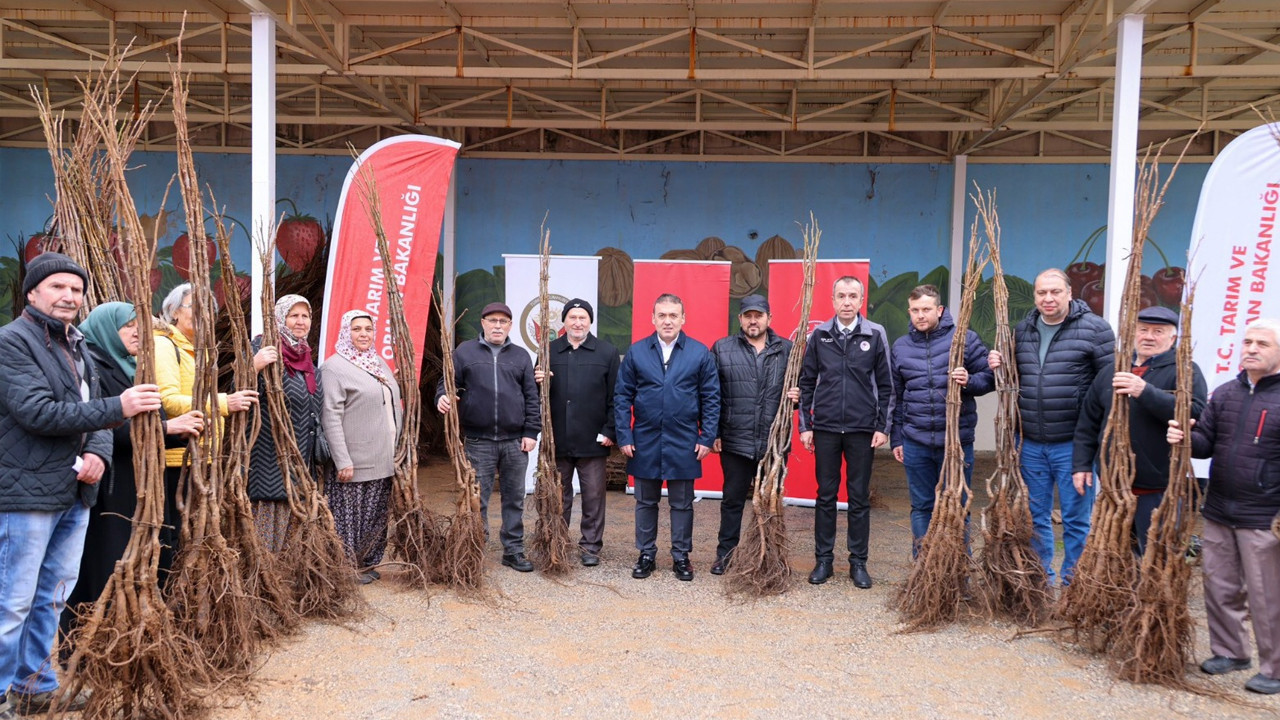 Bilecik’te 450 çiftçiye 27 bin fidan dağıtıldı