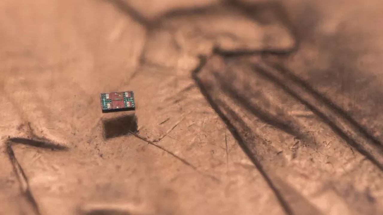 Tuz tanesinden küçük robot yaptılar: Düşünebiliyor ve yüzebiliyor