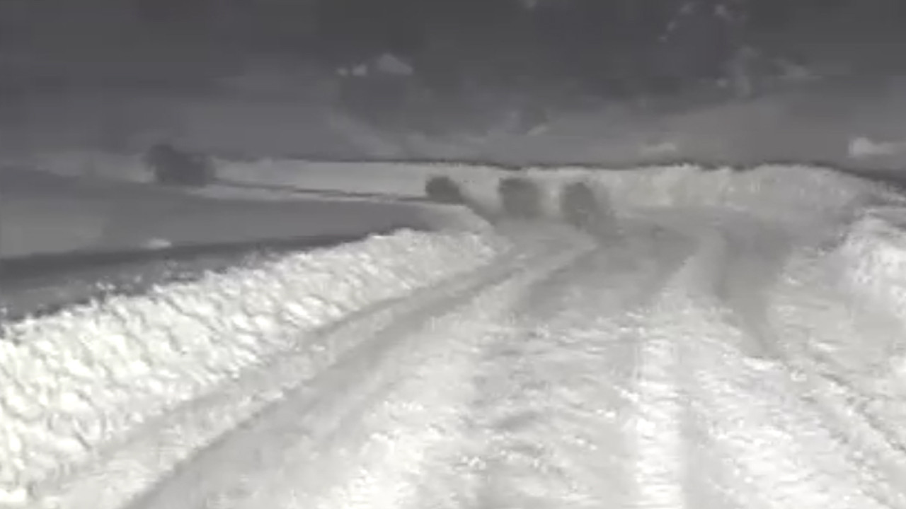 Kar temizleyenlerin önüne çıkan ayılar nereye kaçacağını şaşırdı!