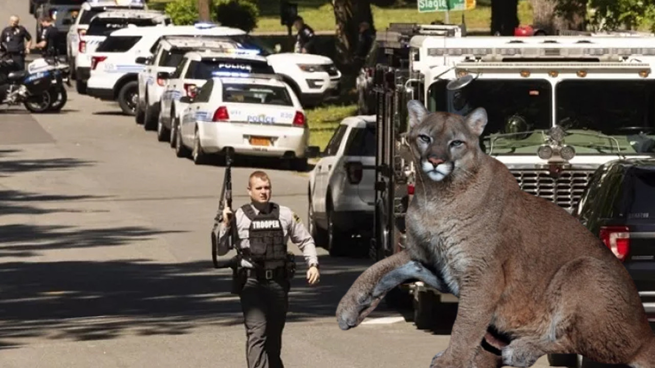 Puma kadını parçalayarak öldürdü: Issız patikada korkunç son