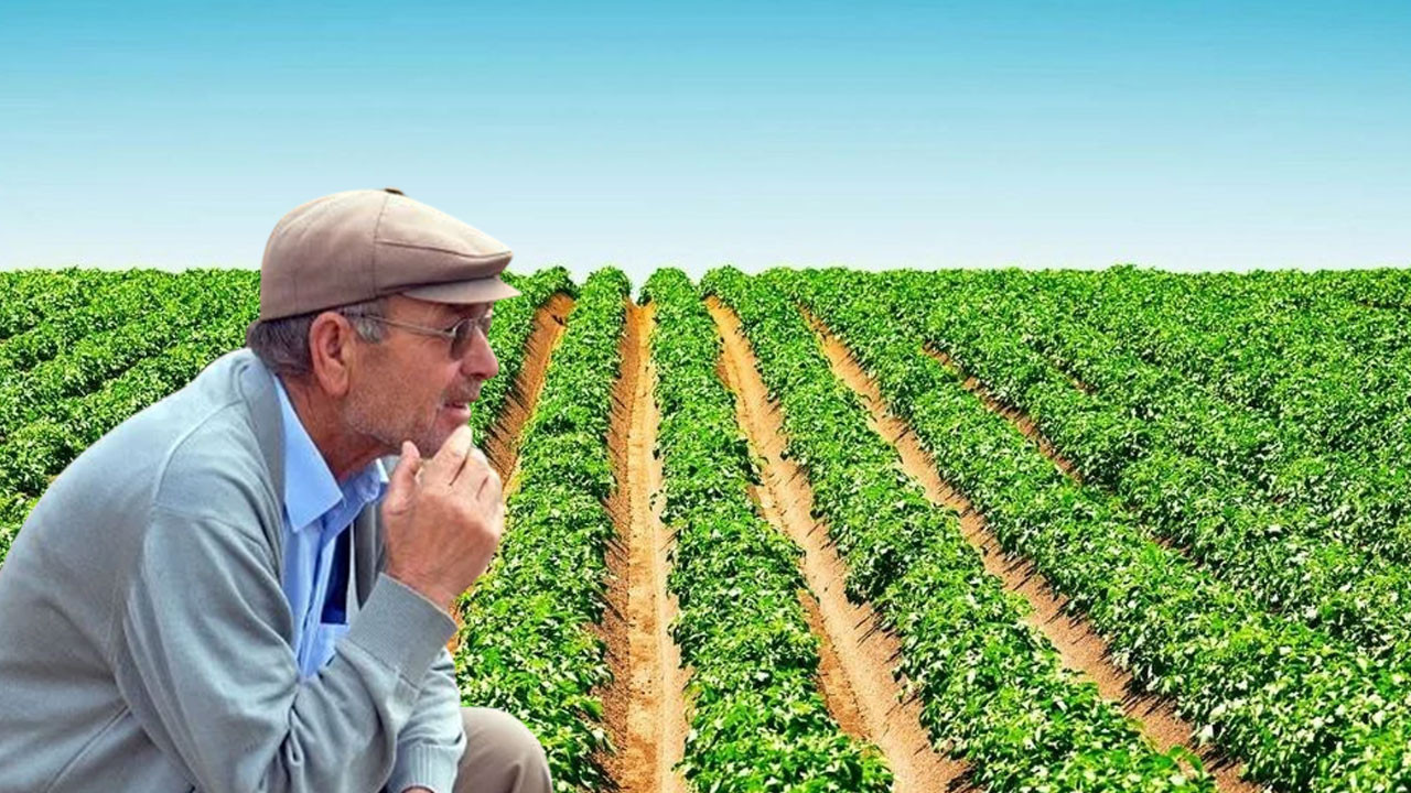 Çiftçiler büyük şok yaşadı: O ilçede resmen yasaklandı