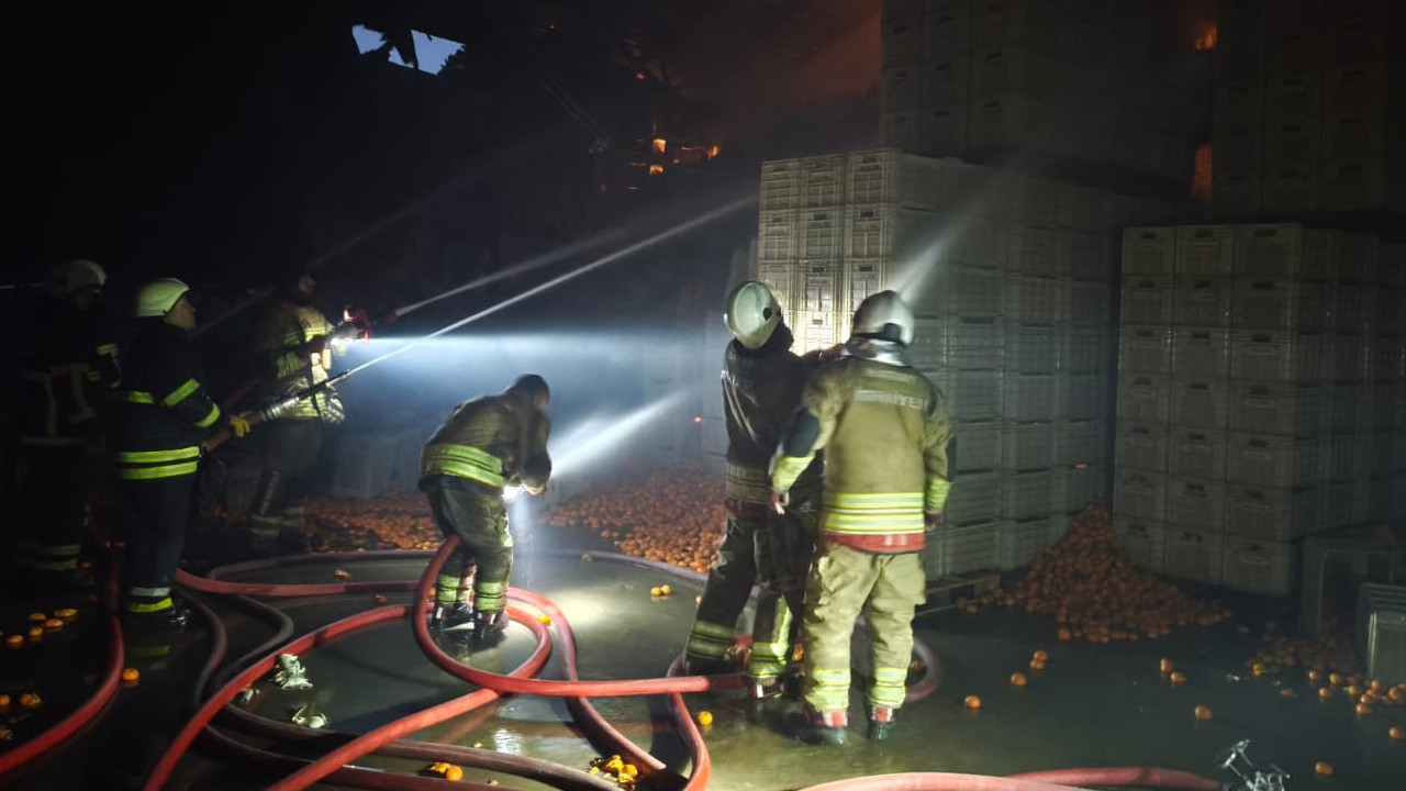 Antalya’da narenciye tesisinde yangın: 1 ölü