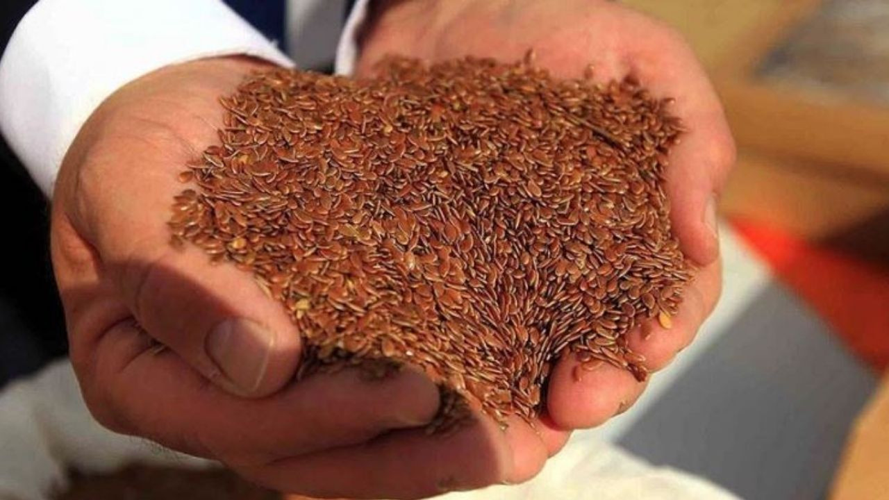 Kan şekeri için doğal destek: Keten tohumu