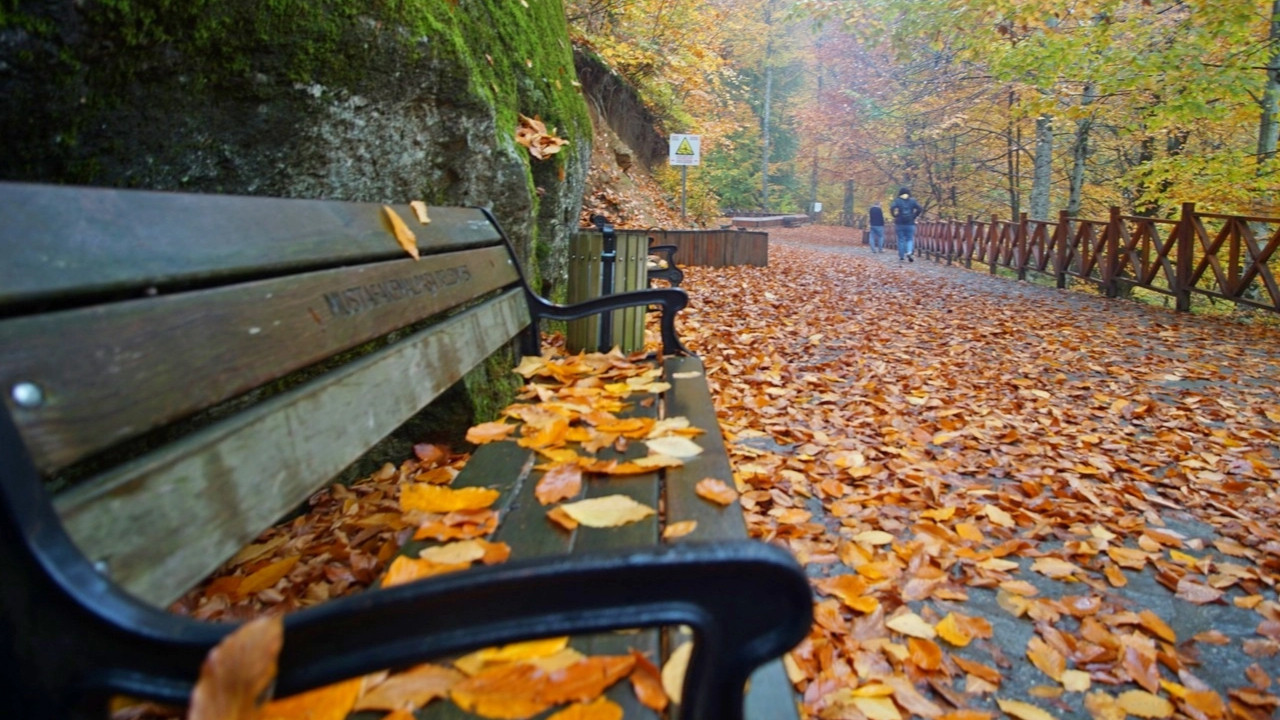 Son 55 yılda yaşanmayan yaşandı... Türkiye Sonbahar'da kavruldu