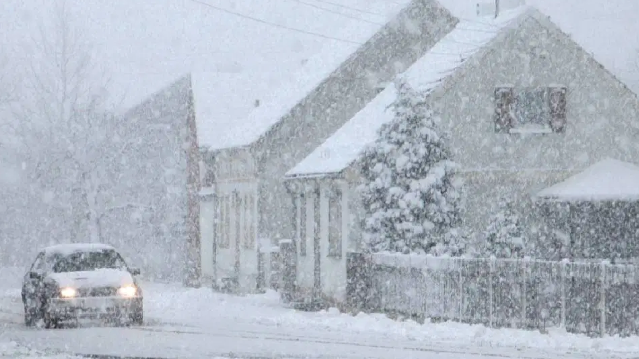 Almanya'da son 15 yılın en soğuk kışı