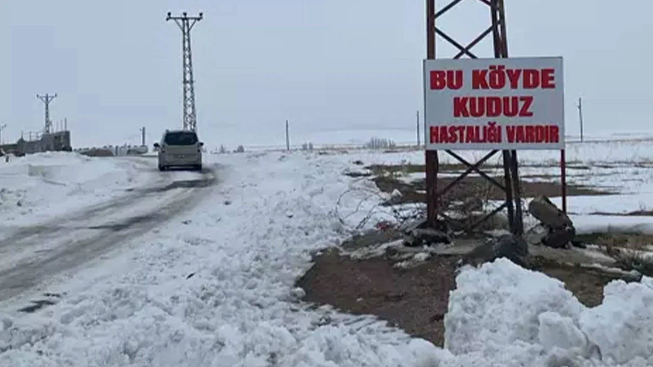 Bitlis'te kuduz vakası! Köy karantinaya alındı