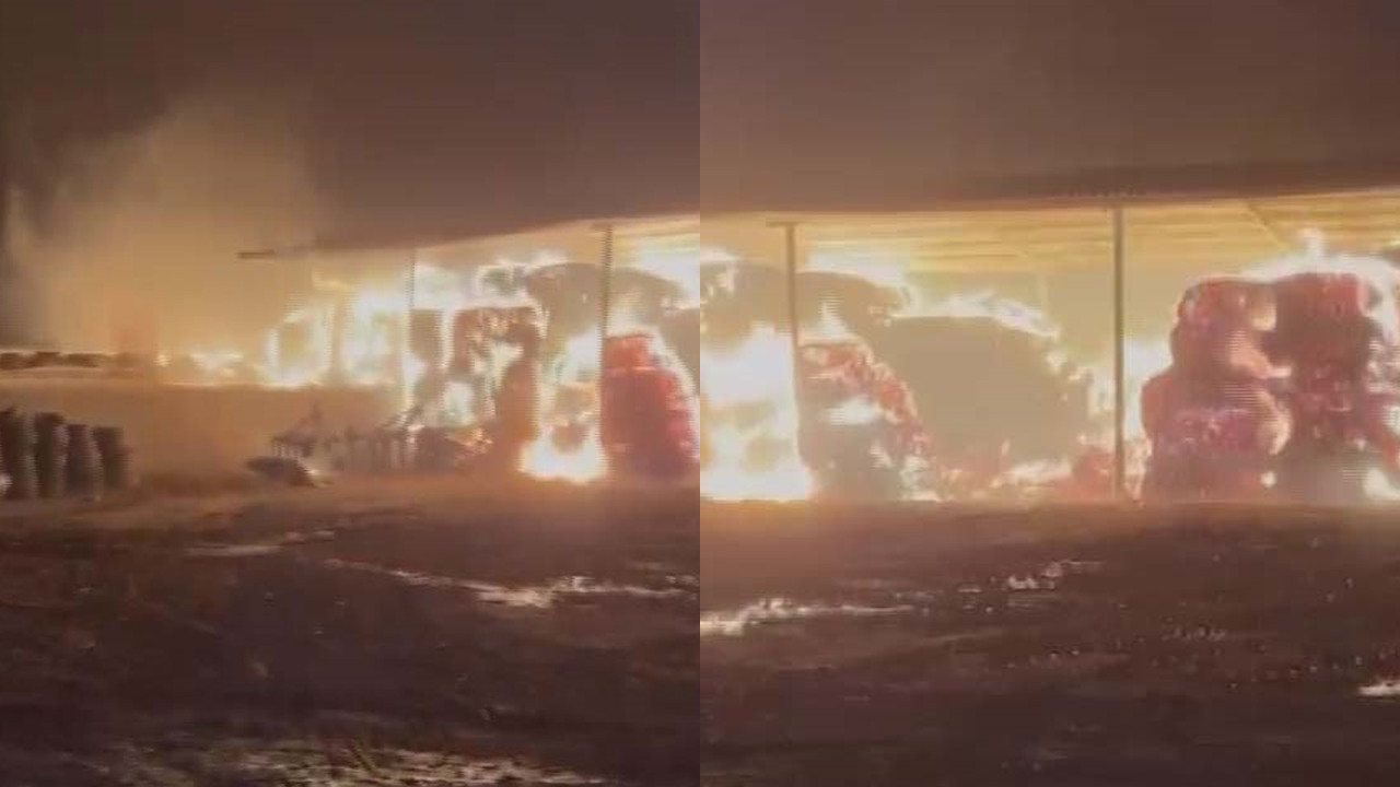 Çiftlikte yangın: Ateşin közü faciaya neden oldu