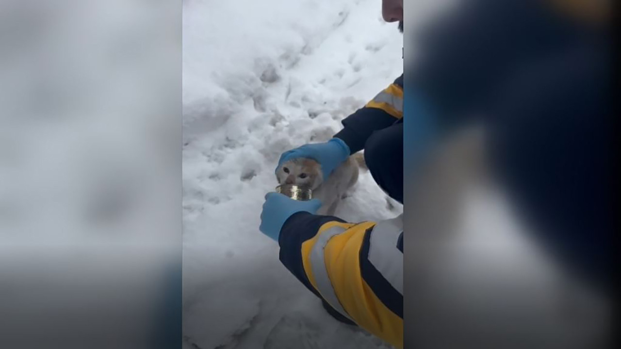 Başı konserve kutusuna sıkışan kedinin imdadına 112 ekibi yetişti