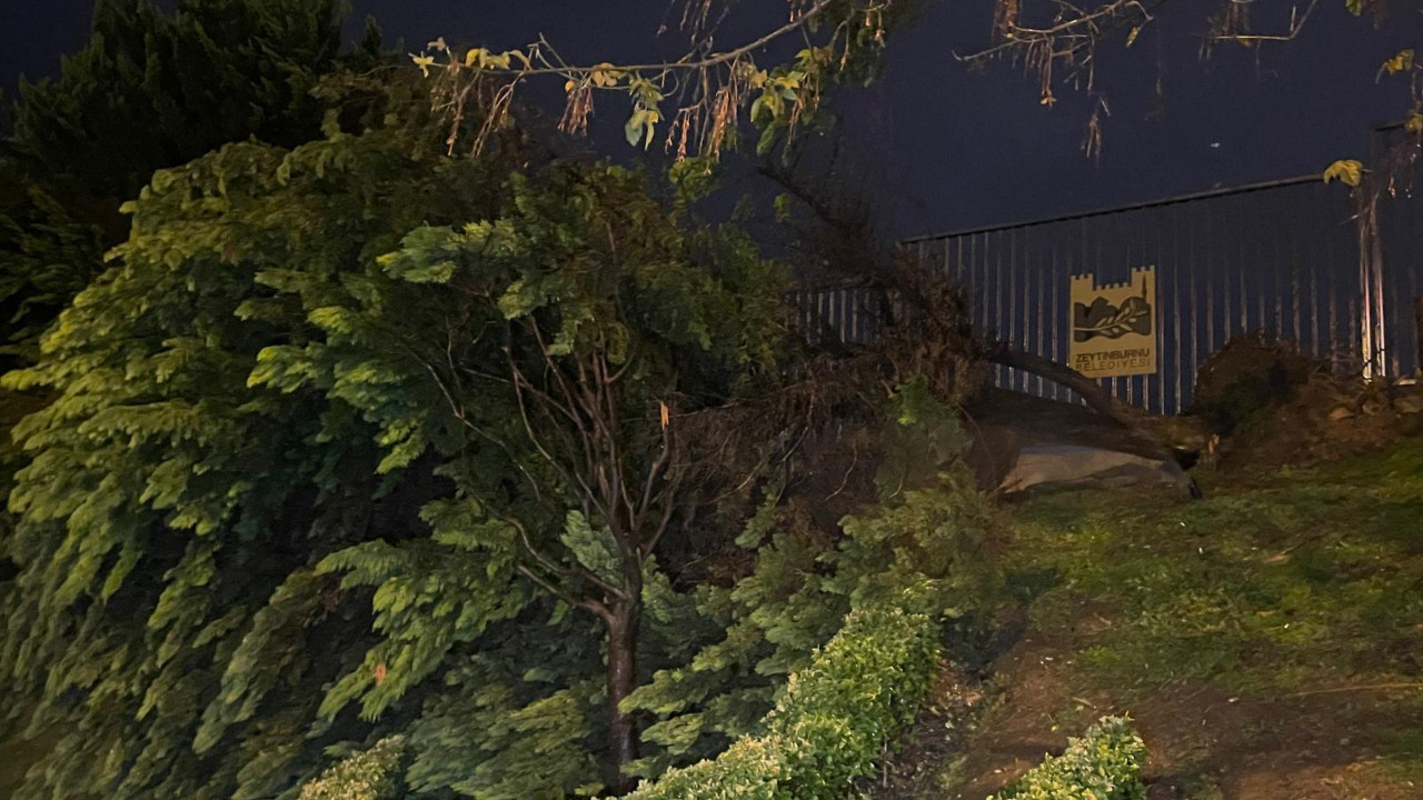 Zeytinburnu'nda fırtına ağaçları devirdi: 1 kişi yaralandı