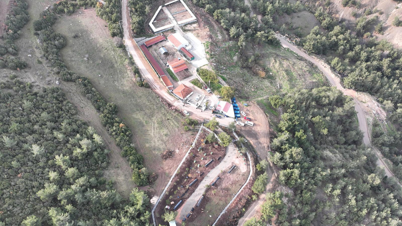 Bilecik'te 235 kedi ve köpek sahiplendirildi