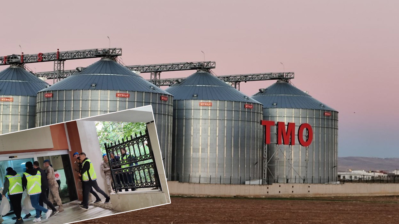 Mardin’de dev vurgun: Buğdaylar satıldı: Depo TMO’ya geçti