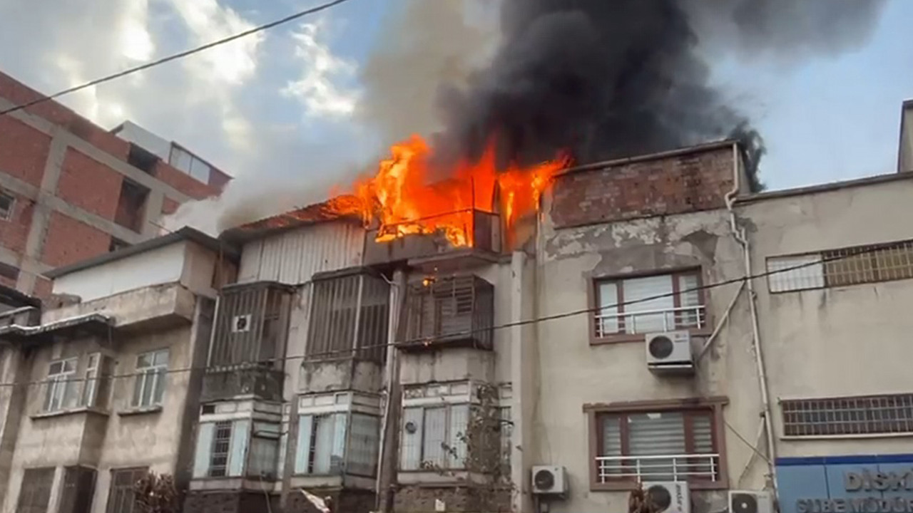 Muhtar isyan etti: Onlarda ‘Allah’ın kullarıydı: 150 güvercin telef oldu