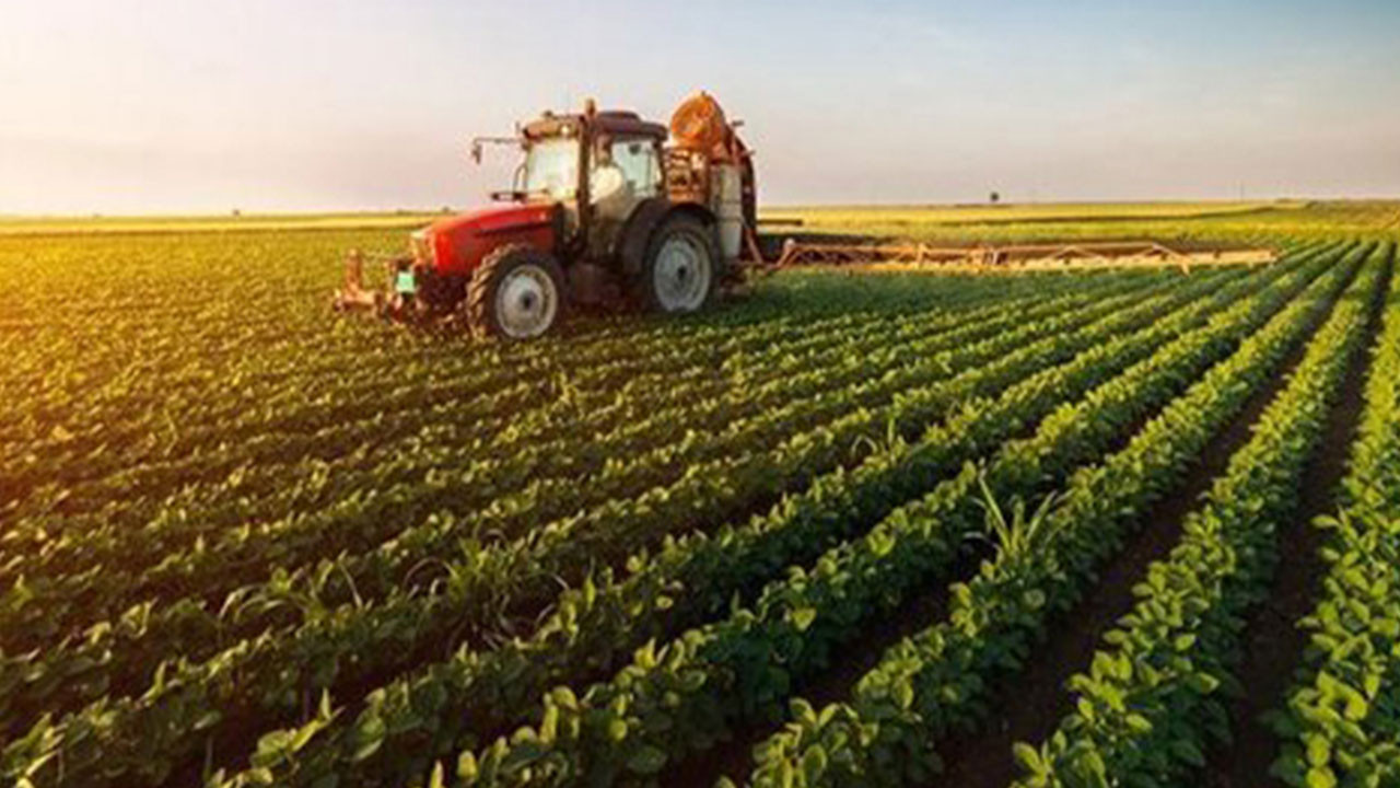 En fazla hibe desteği alan şehirler belli oldu