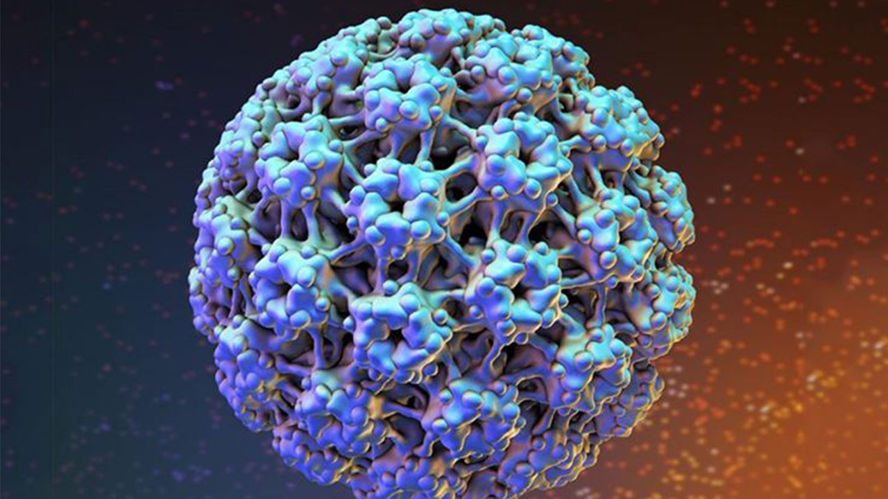 HPV nedir? HPV Virüsü nasıl bulaşır? Belirtileri ve korunma yolları