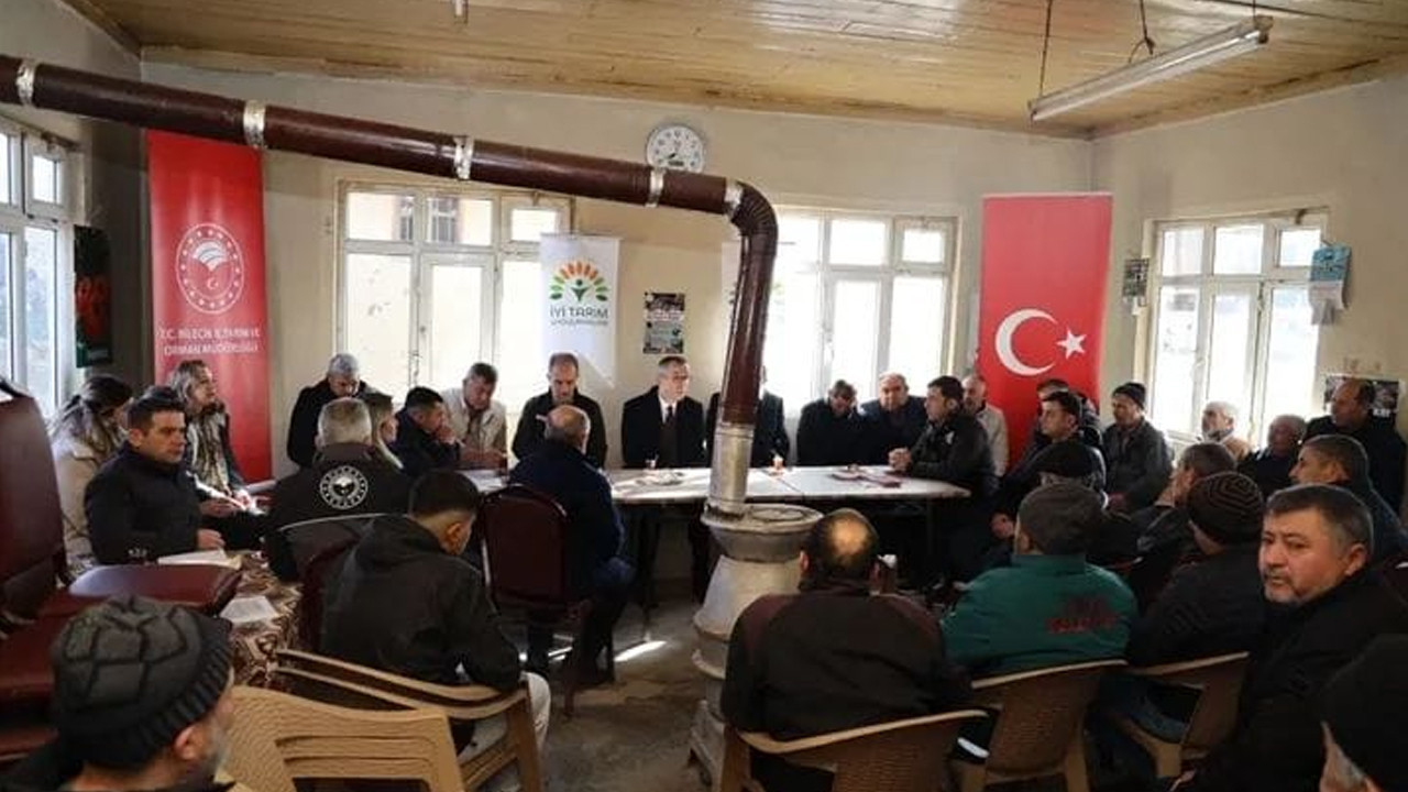 Söğüt'te "Marul Daha Bi' İyi" Projesi başarıyla tamamlandı