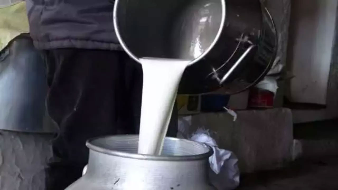 İşletmelerin topladığı süt miktarı azaldı