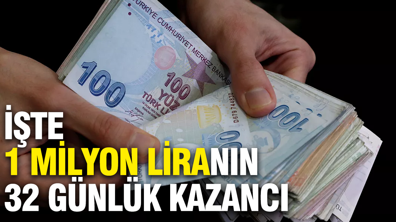 1 milyon liranın 32 günlük getirisi dudak uçuklattı