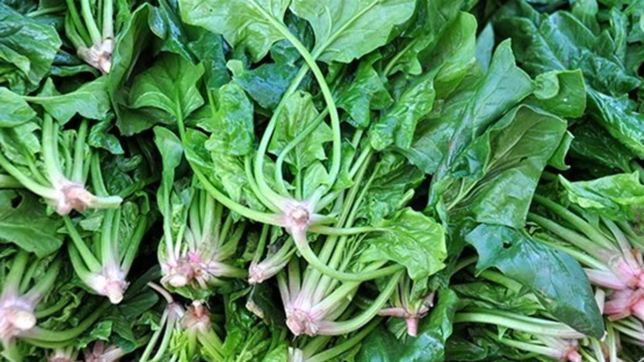 Ispanağı tahtından indiren keşif