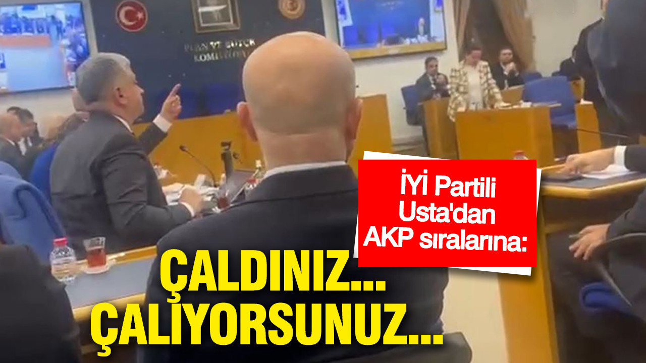 İYİ Partili Usta'dan AKP sıralarına: 'Çaldınız... çalıyorsunuz...'