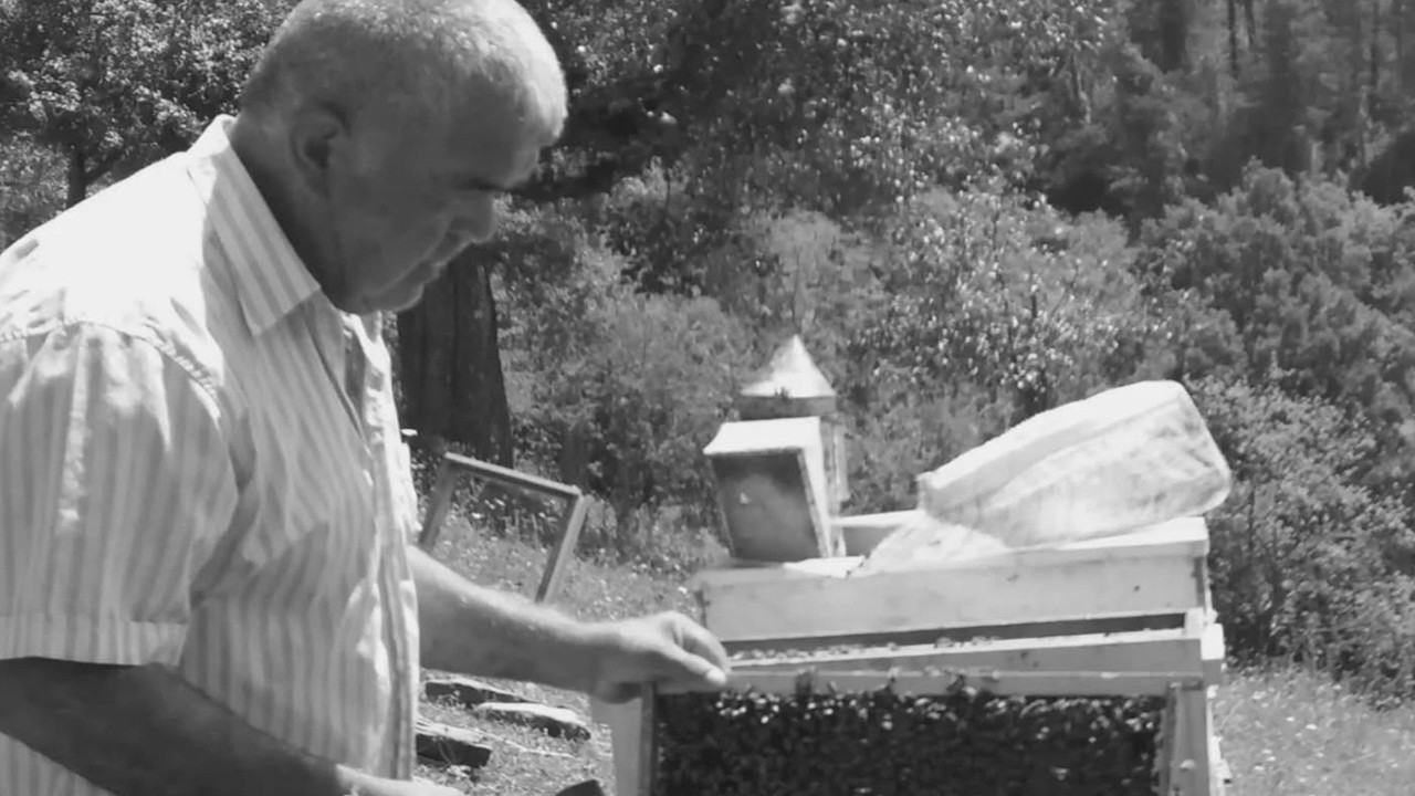 Bartın'da 65 yaşındaki adam ağacında can verdi